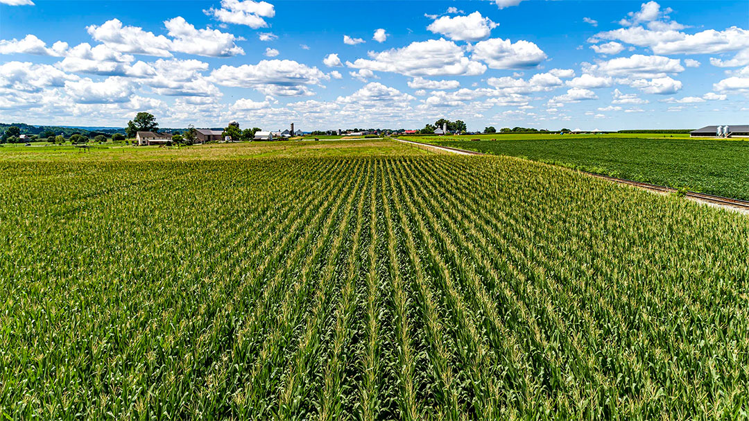 Ag drones in Waynesboro